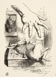 Alice dropper The White Rabbit, fra Alices Adventures in Wonderland af Lewis Carroll (1832 - 98), udgivet 1891 af John Tenniel